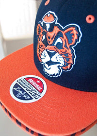 Top 4 Pacific Tigers Snapback Hats You Missed