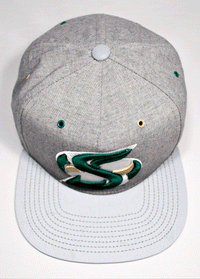 Sacramento State Hornets Sac State Grey Matter 3M™ Sac State Snapback [Limited Edition] Cap Hat by Zeus Collegiate